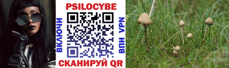 мориарти как зайти  Зея  Галлюциногенные грибы Psilocybine cubensis  купить наркотики цена 